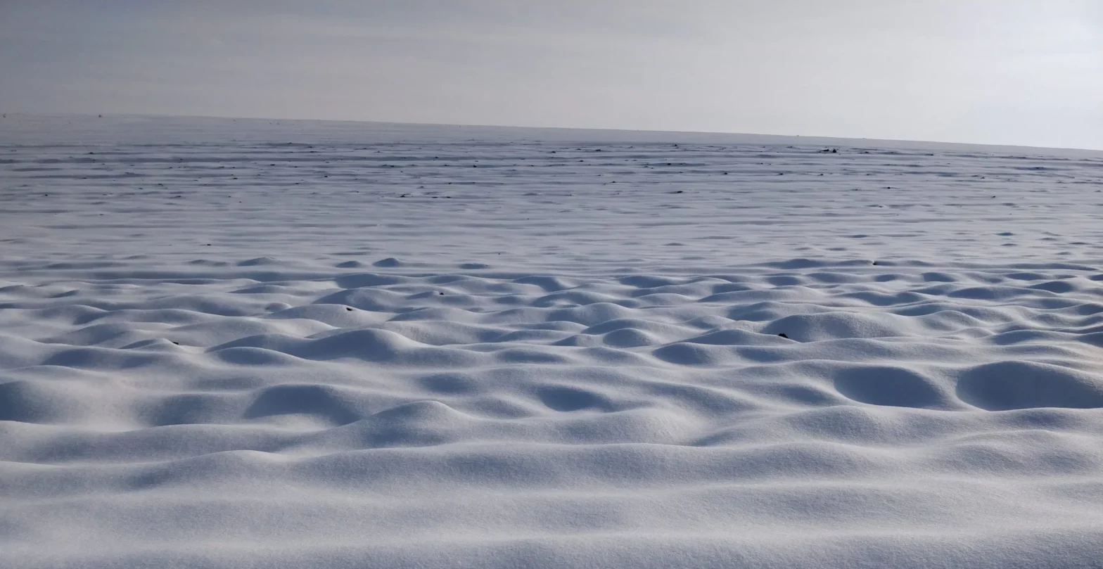Chaignay sous la neige