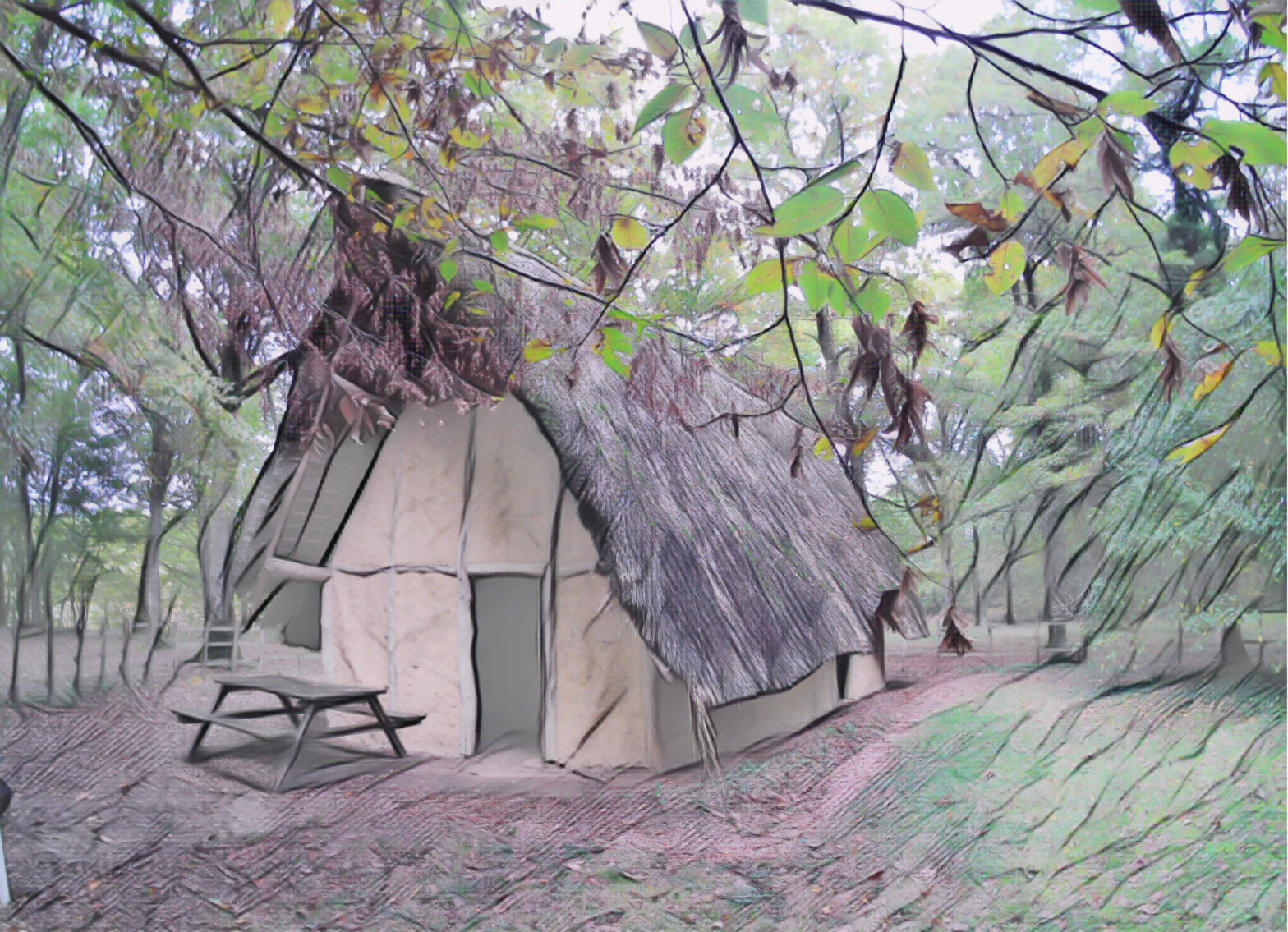 Le domaine des druides