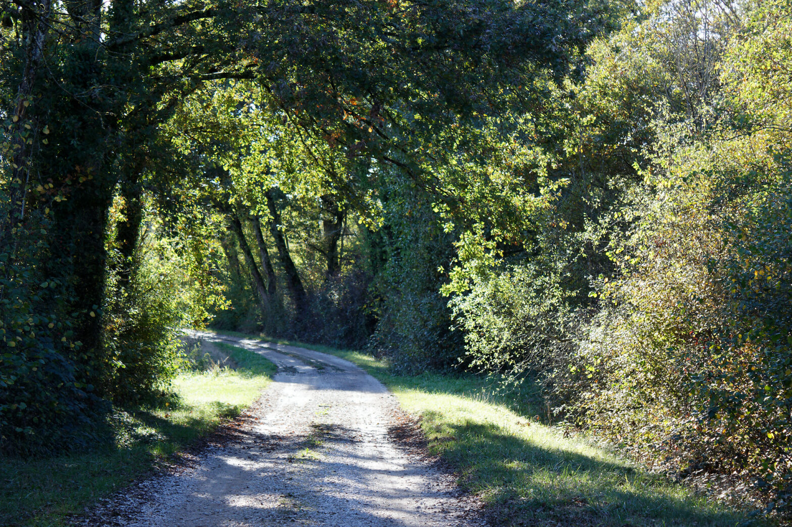 Les prés de Ménetreuil