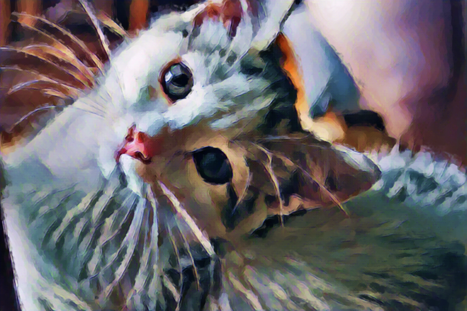 Nos chats en peintures