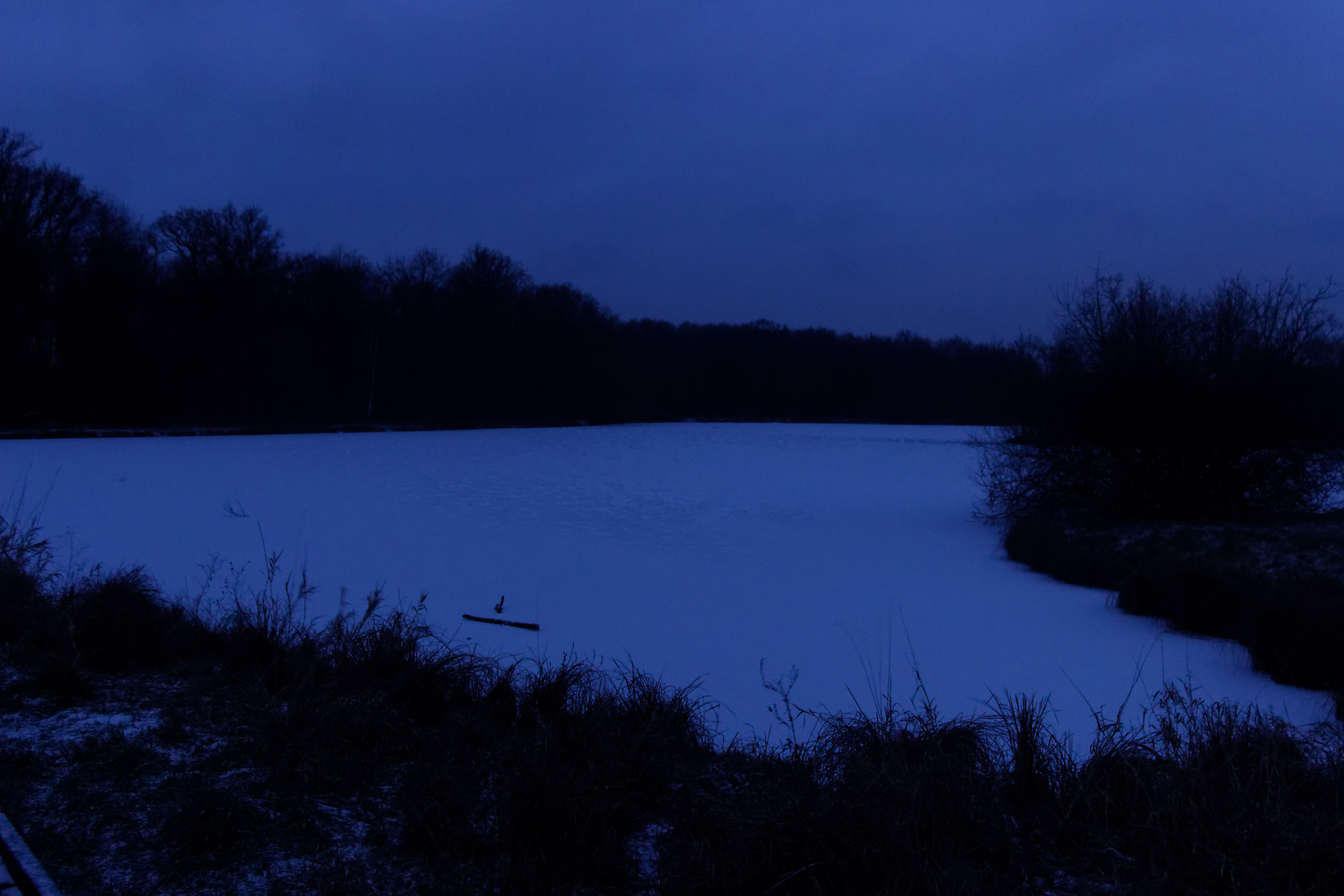 Une promenade du soir enneigée