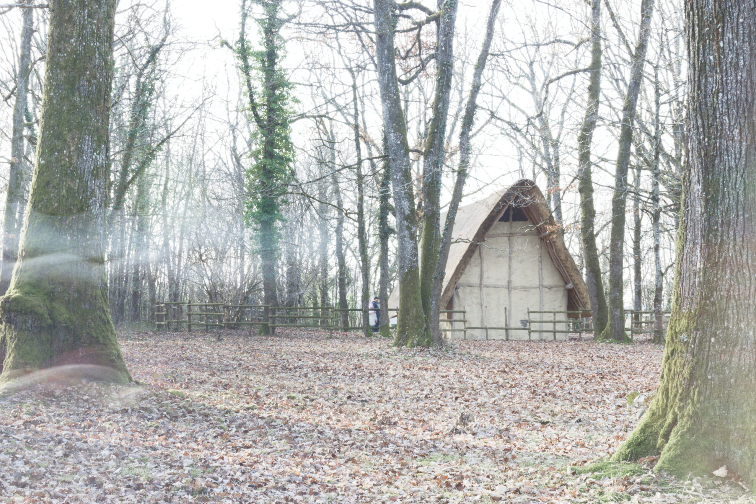 Le domaine des druides : un air fantomatique