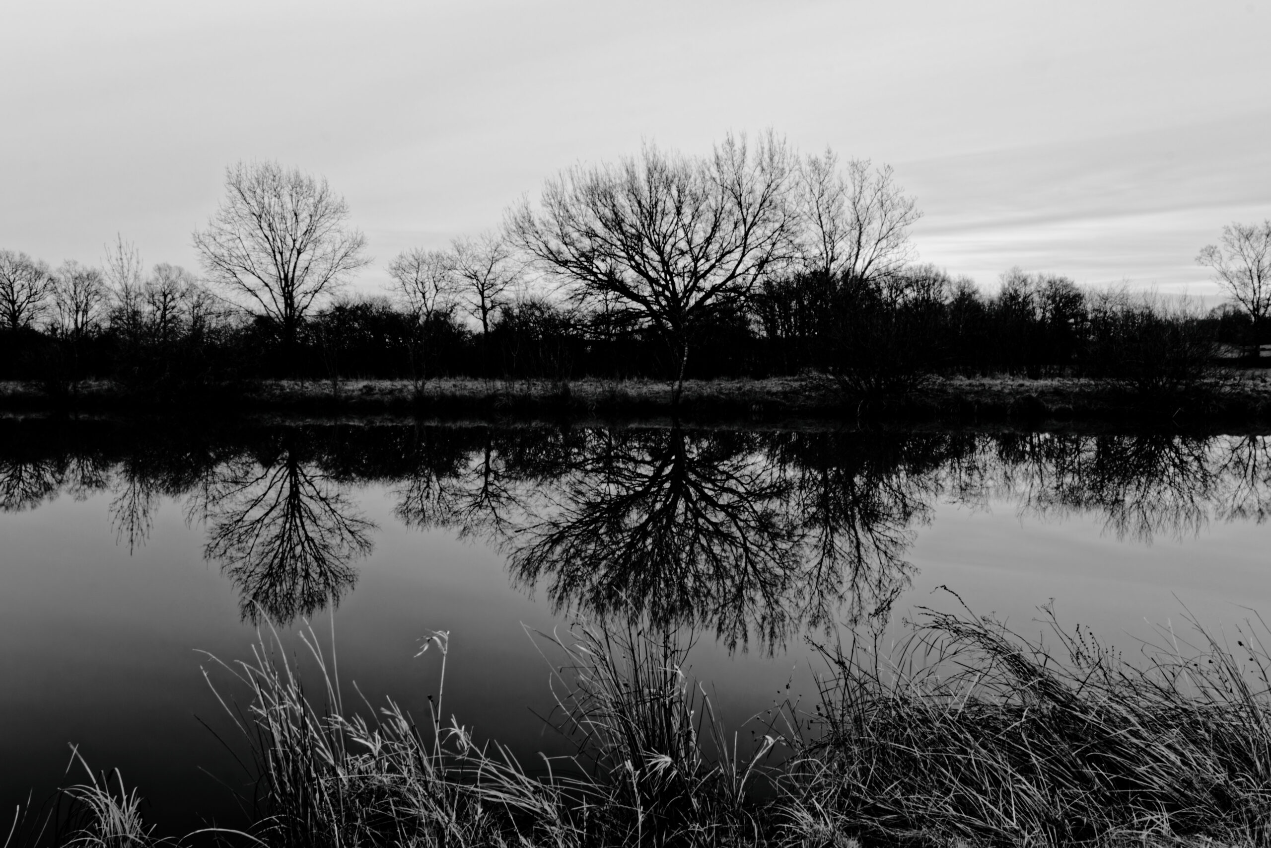 Une balade à l&rsquo;étang des Prés de Ménetreuil