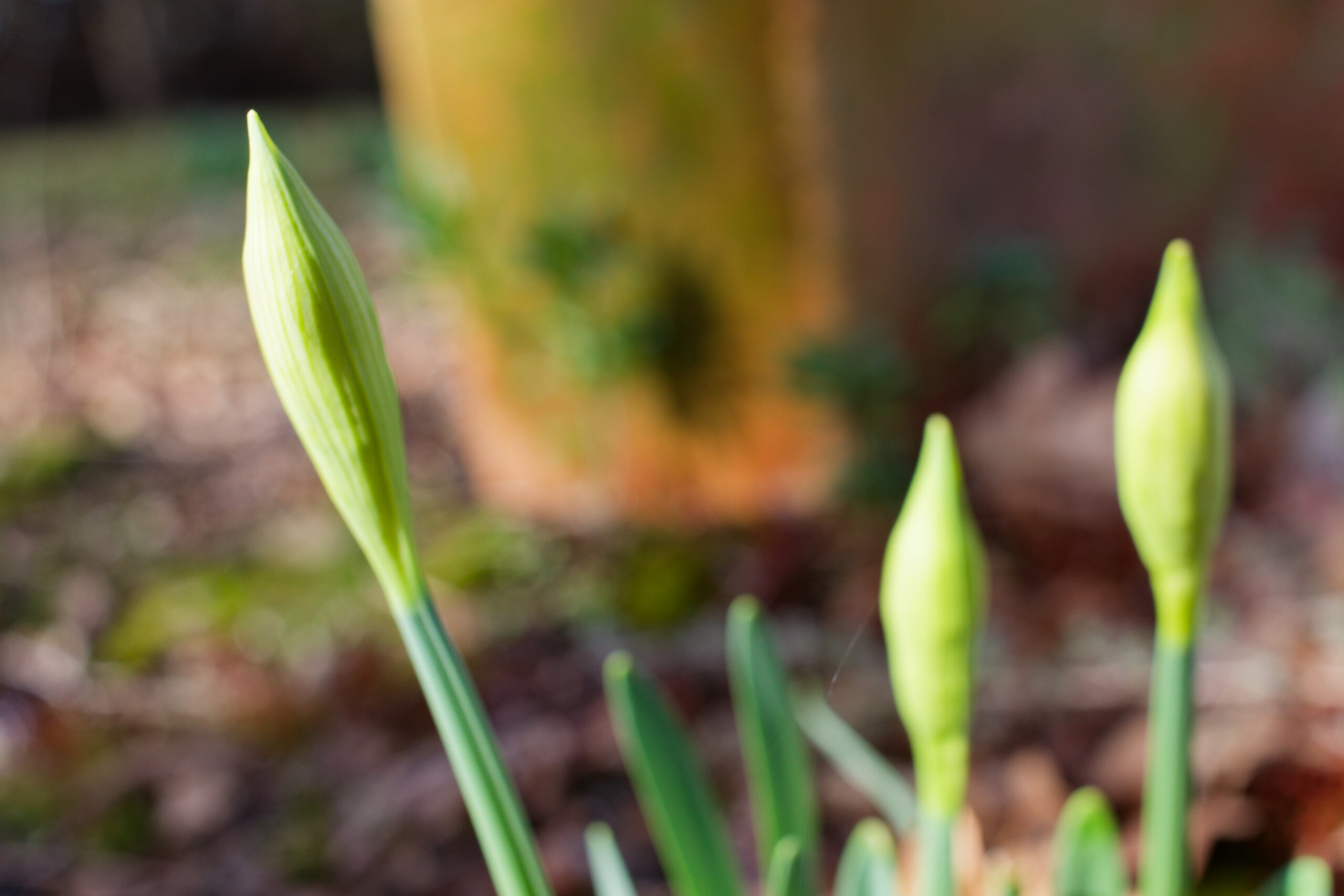 Ménetreuil : au cœur de la transition saisonnière